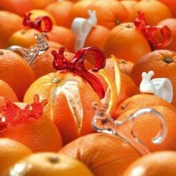 {product_name} directamente del agricultor - Quiero Naranjas