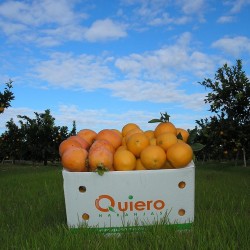 {product_name} directamente del agricultor - Quiero Naranjas