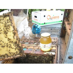 Miel de Azahar 500 g