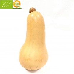 Calabaza "Butternut" Ecológica 0.5-0.8 kg