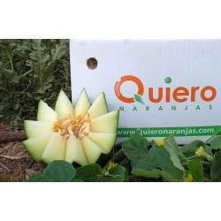 {product_name} directamente del agricultor - Quiero Naranjas