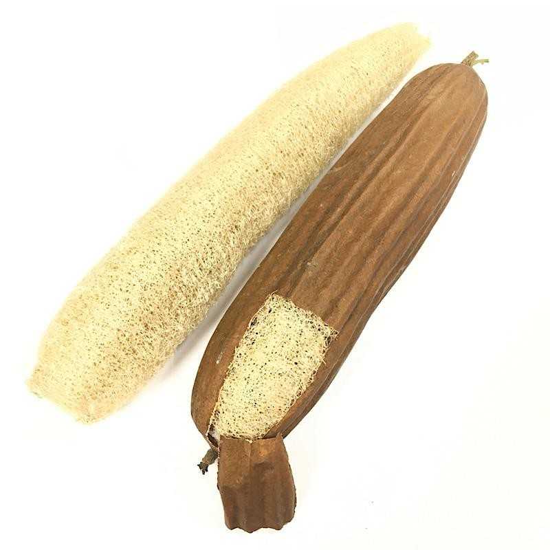 Esponja de Luffa Natural