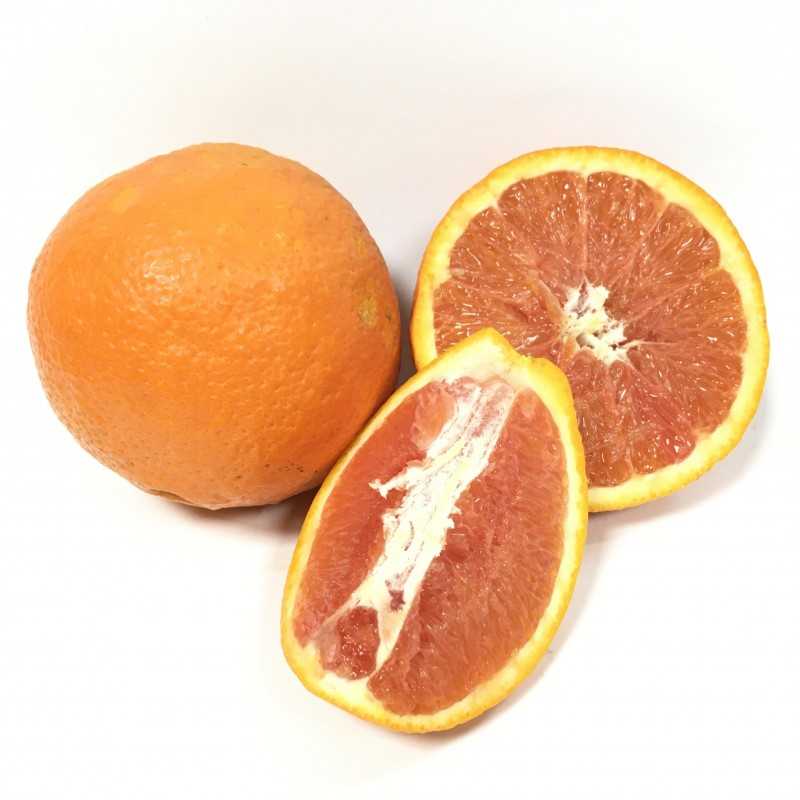 Frische [product_name]