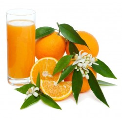 {product_name} directamente del agricultor - Quiero Naranjas