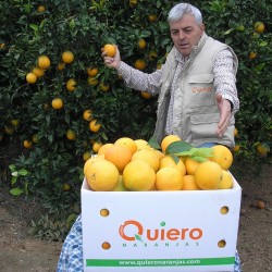 Fresh [product_name]