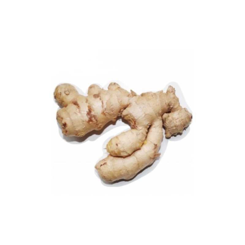 Frische [product_name]