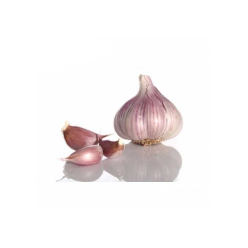 Ajos Morados Ecológicos 240-260 g