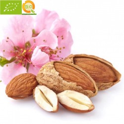 Almendras Ecológicas con cáscara 500 g
