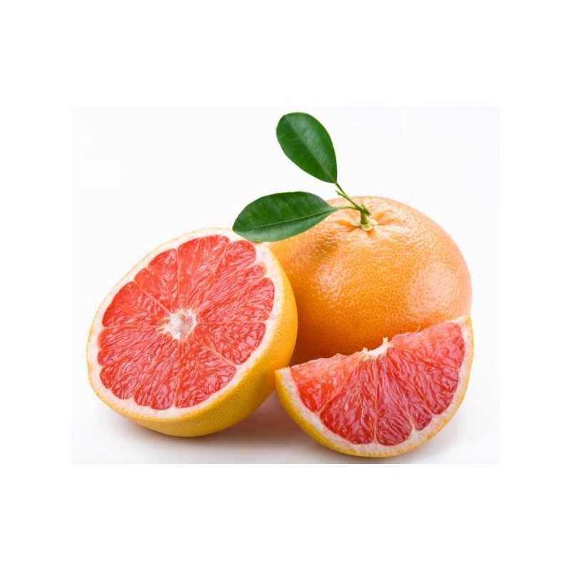 {product_name} directamente del agricultor - Quiero Naranjas {product_name} directamente del agricultor - Quiero Naranjas