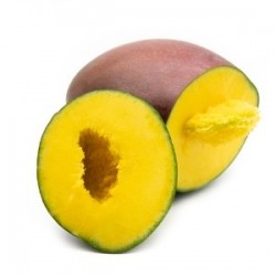 Fresh [product_name]