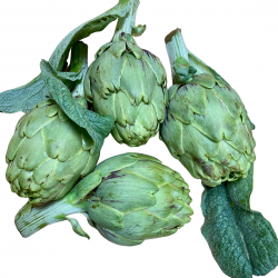 [category_name] frais