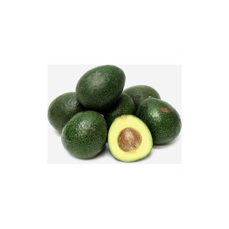 Aguacates Ecológicos "Reed" 5 kg