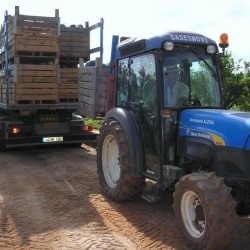 {product_name} directamente del agricultor - Quiero Naranjas
