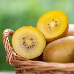 Acheter Kiwis Jaunes Bio de Valence Bio | Quieronaranjas – Comprar Naranjas y Mandarinas Ecológicas de Valencia