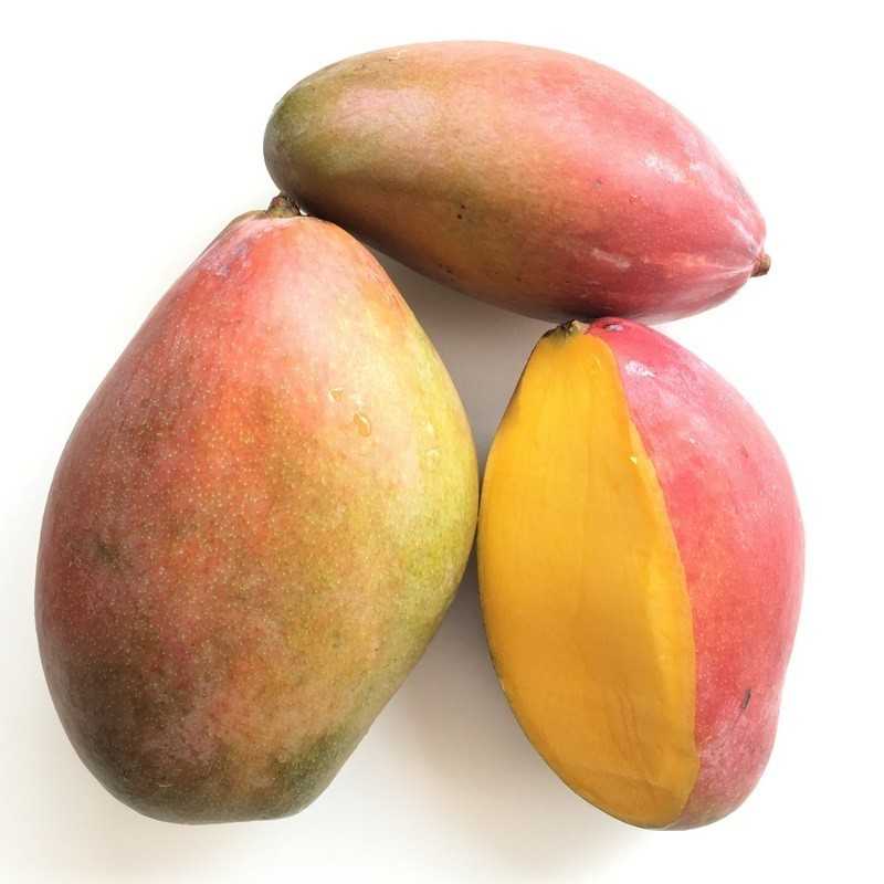 Fresh [product_name]