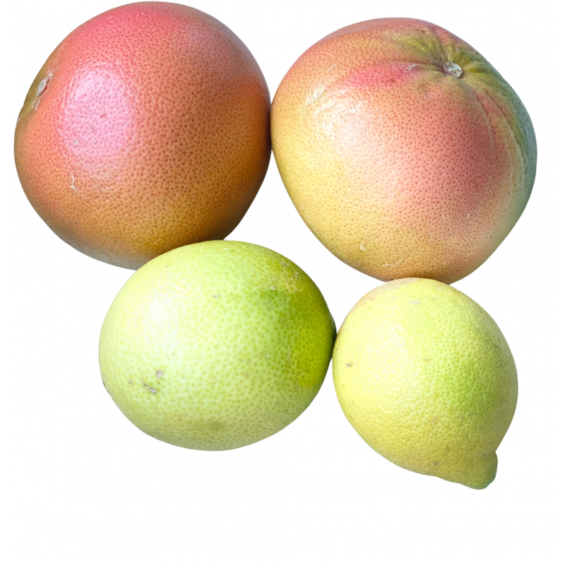 Frische [product_name]