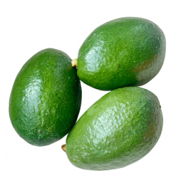 Kaufen Bio-Avocados “Bacon” aus Valencia | Quieronaranjas – Comprar Naranjas y Mandarinas Ecológicas de Valencia