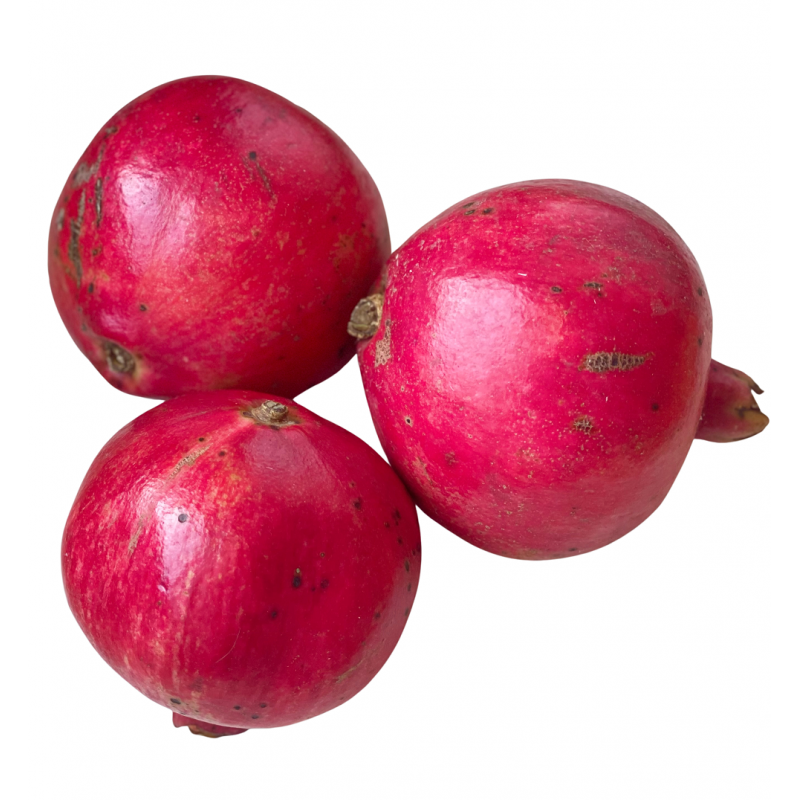 Granadas Ecológicas - 10 kg (variedad acco)