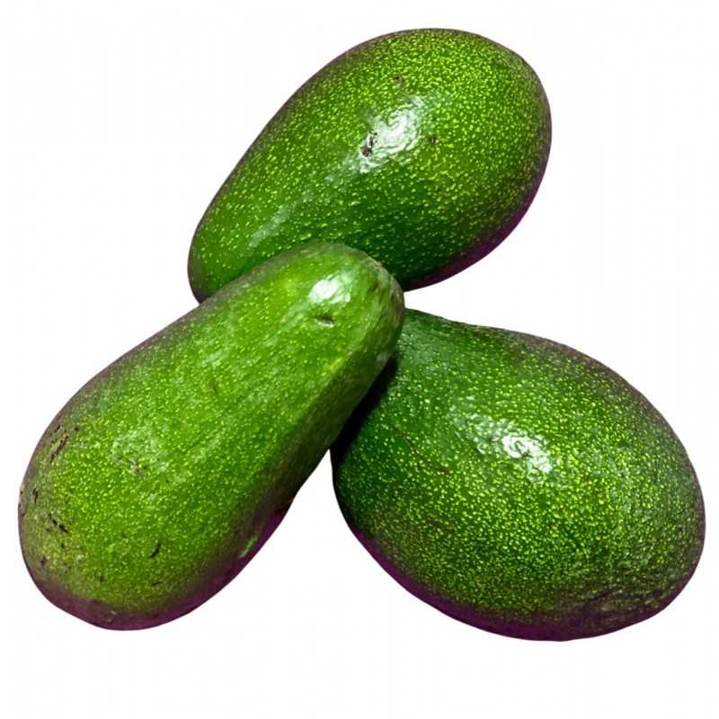 Frische [product_name]