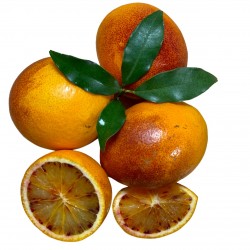 [category_name] aus Valencia