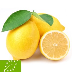 [category_name] frais