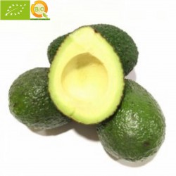 Aguacates"Hass" Conversión a Ecológico 5 kg