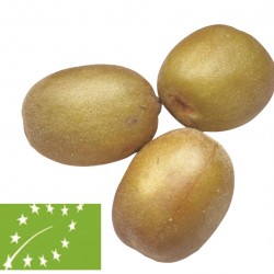 [category_name] from Spain