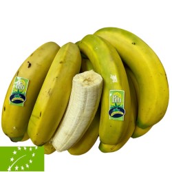 [category_name] natural