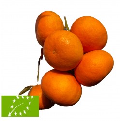 [category_name] aus Valencia
