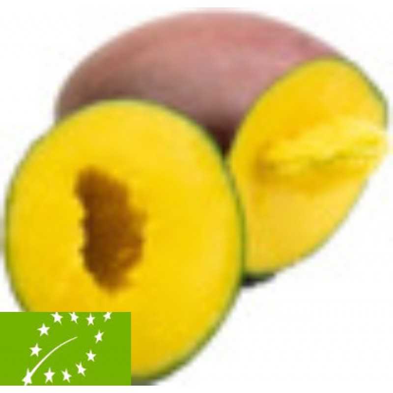 Fresh [product_name]