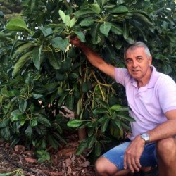{product_name} directamente del agricultor - Quiero Naranjas