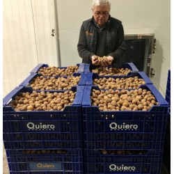{product_name} directamente del agricultor - Quiero Naranjas {product_name} directamente del agricultor - Quiero Naranjas