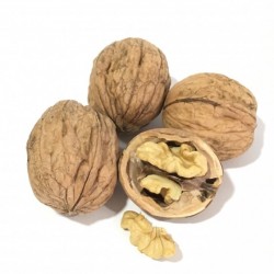 Frische [product_name]