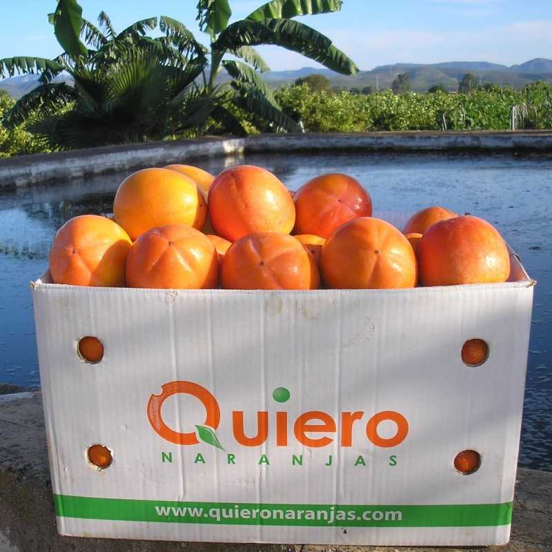 {product_name} directamente del agricultor - Quiero Naranjas