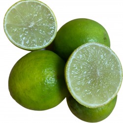 Comprar Limas ecológicas de Valencia naturales | Quieronaranjas – Comprar Naranjas y Mandarinas Ecológicas de Valencia