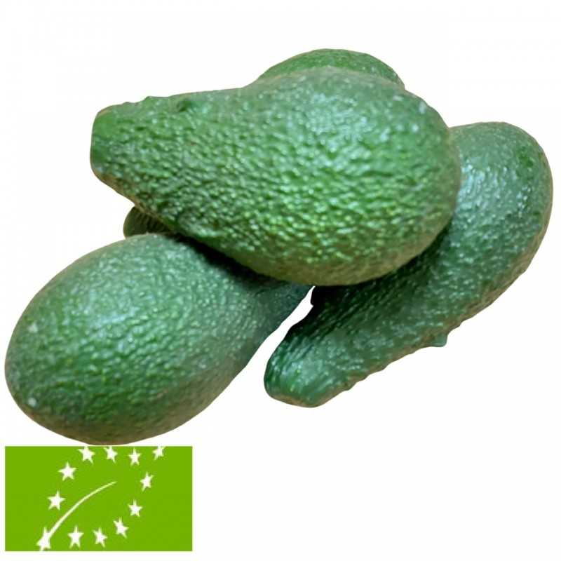Aguacate Bio