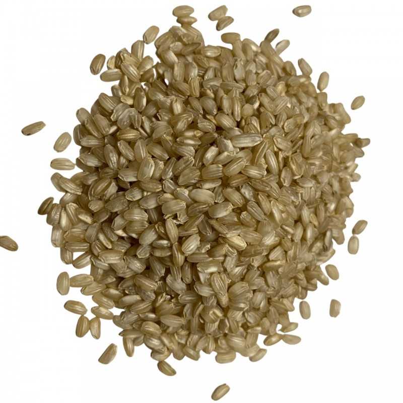{product_name} directamente del agricultor - Quiero Naranjas