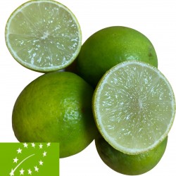 [category_name] frais