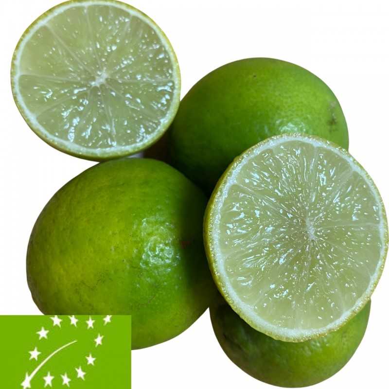Fresh [product_name]