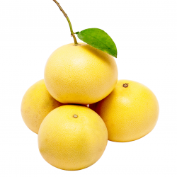 Acheter Pamplemousse Jaune Bio de Valence | Quieronaranjas – Comprar Naranjas y Mandarinas Ecológicas de Valencia
