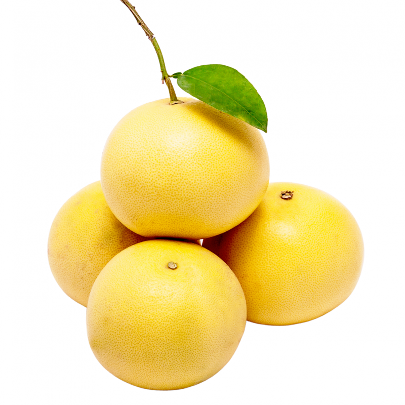 Fresh [product_name]