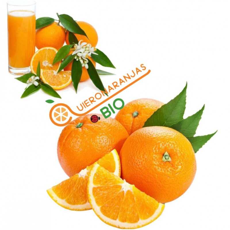 {product_name} directamente del agricultor - Quiero Naranjas