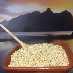 {product_name} directamente del agricultor - Quiero Naranjas