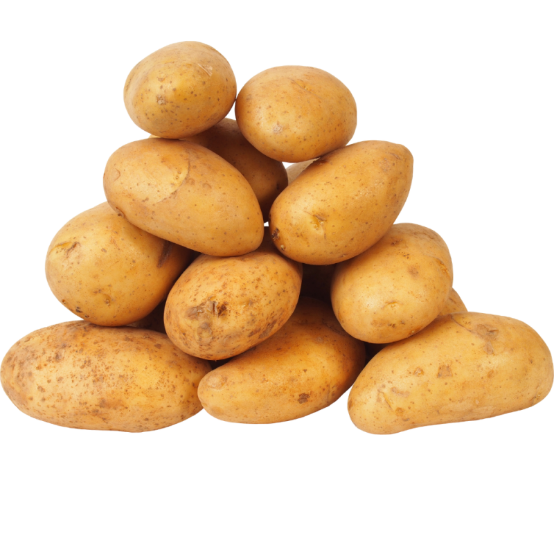 Frische [product_name]