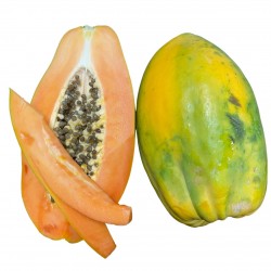 [category_name] frais