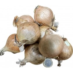 Frische [product_name]