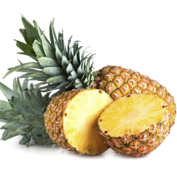 [category_name] natural