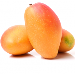 Buy Organic Mangoes from Spain | Quieronaranjas – Comprar Naranjas y Mandarinas Ecológicas de Valencia
