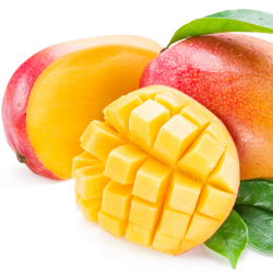 Fresh [product_name]