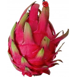 Frische [product_name]